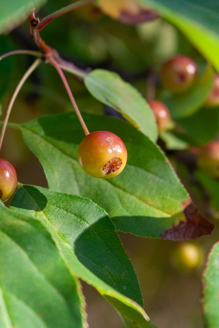 助您在职工 助您在职工
