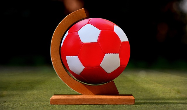 以其卓越的 以其卓越的