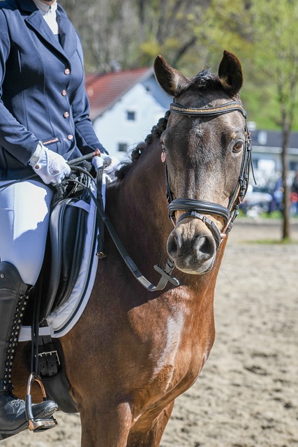 法甲第6輪巴黎聖日耳曼2-1裏昂 內馬爾點射伊卡爾迪頭球絕殺.