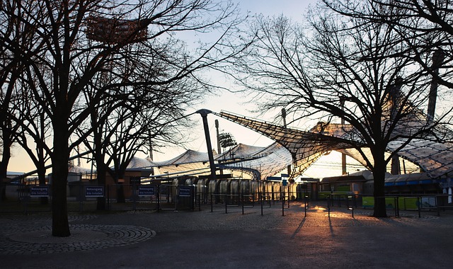 测球员的体 测球员的体