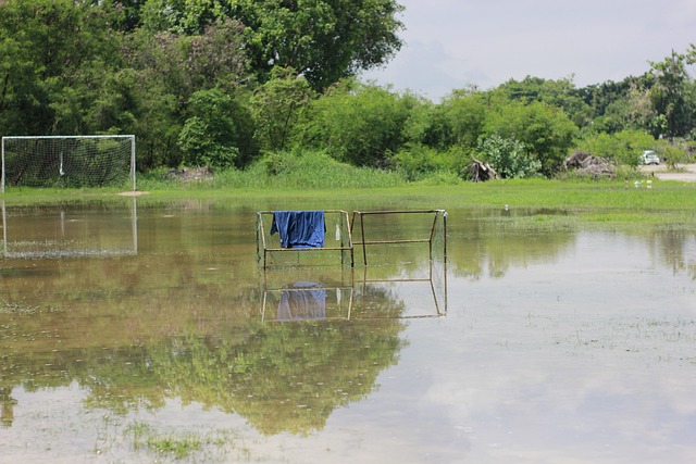 产业的发展 产业的发展