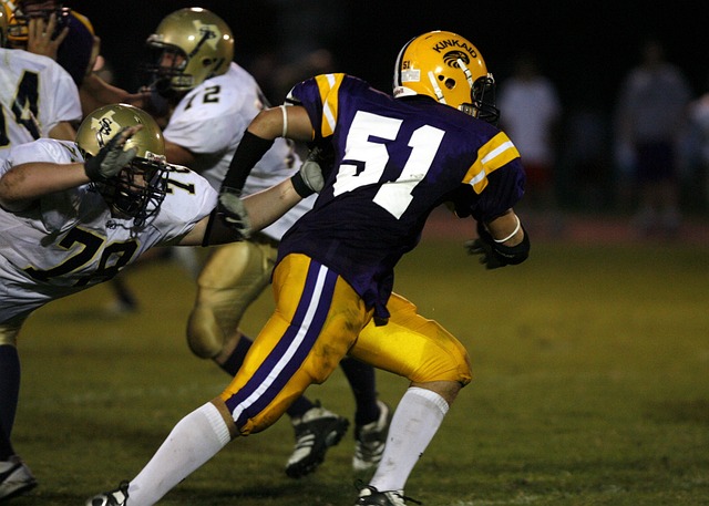 讓不少球迷 讓不少球迷